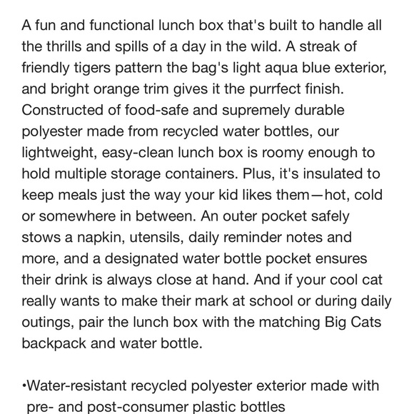 Crate&Kids Big Cat print small kids backpack and lunch box - Picture 5 of 5